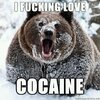 cocainebear.jpg