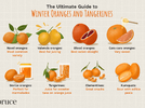 oranges-and-tangerines-2216772_color-4c38bcedd98e480f93dd1a369dd7593f.png
